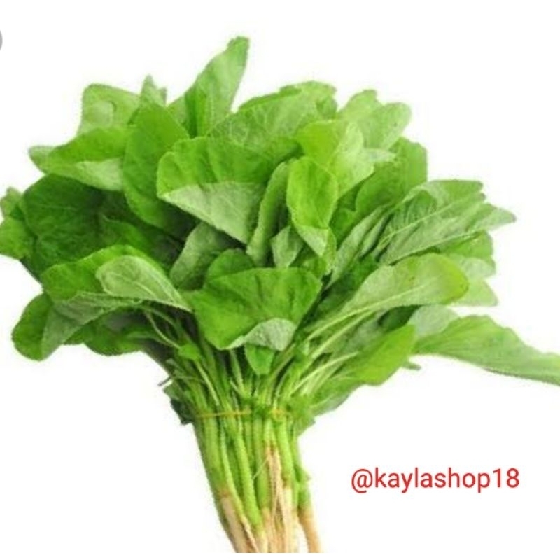 

Sayur bayam segar per ikat