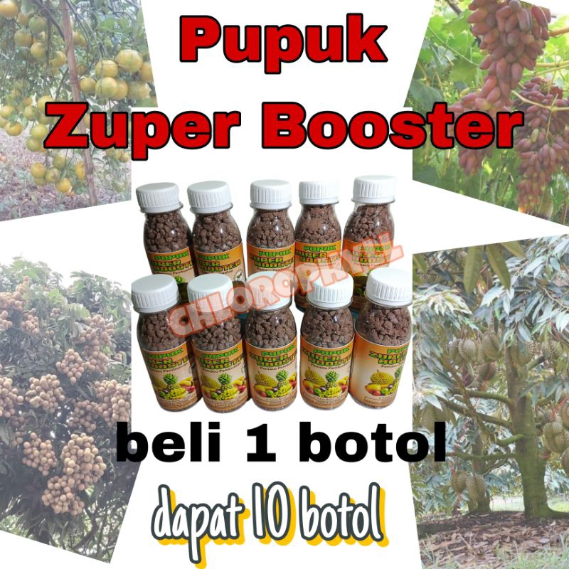 PUPUK ZUPER BOOSTER PELEBAT BUAH Beli 1 Dapat 10