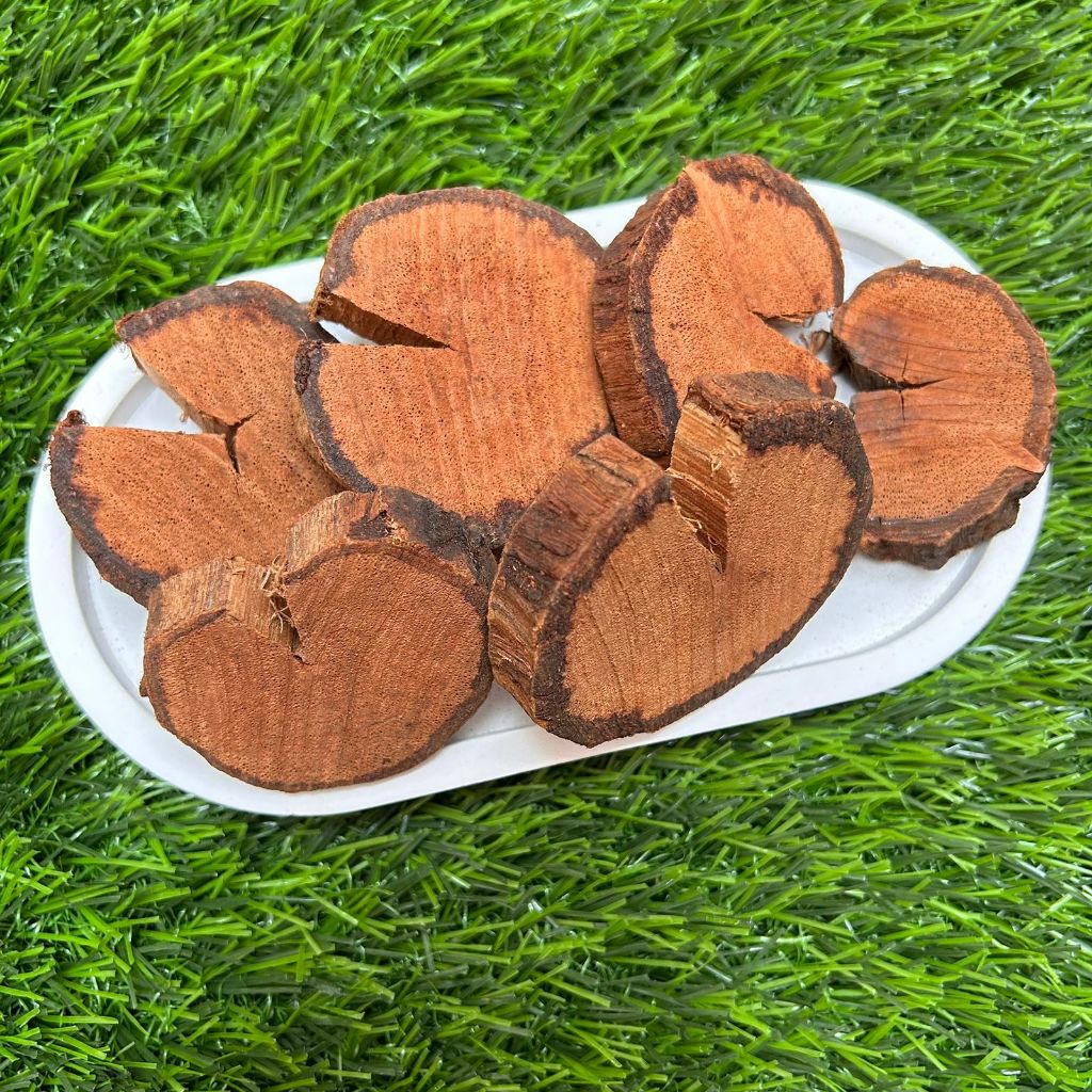 

AKAR KAYU BAJAKAH TAMPALA SUPER