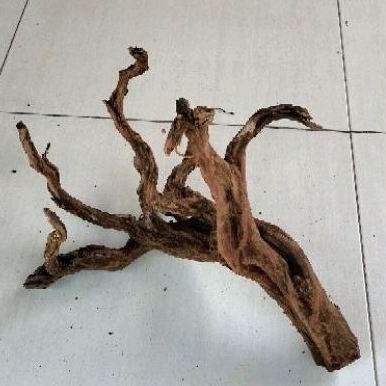 kayu aquascape rasamala size XXL