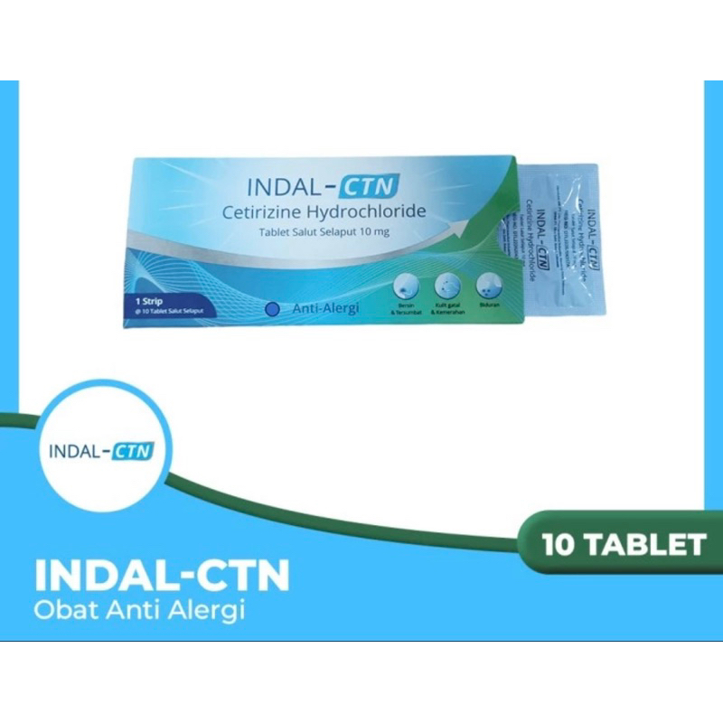 Indal CTN strip 10 tablet ( obat gatal alergi biduran )
