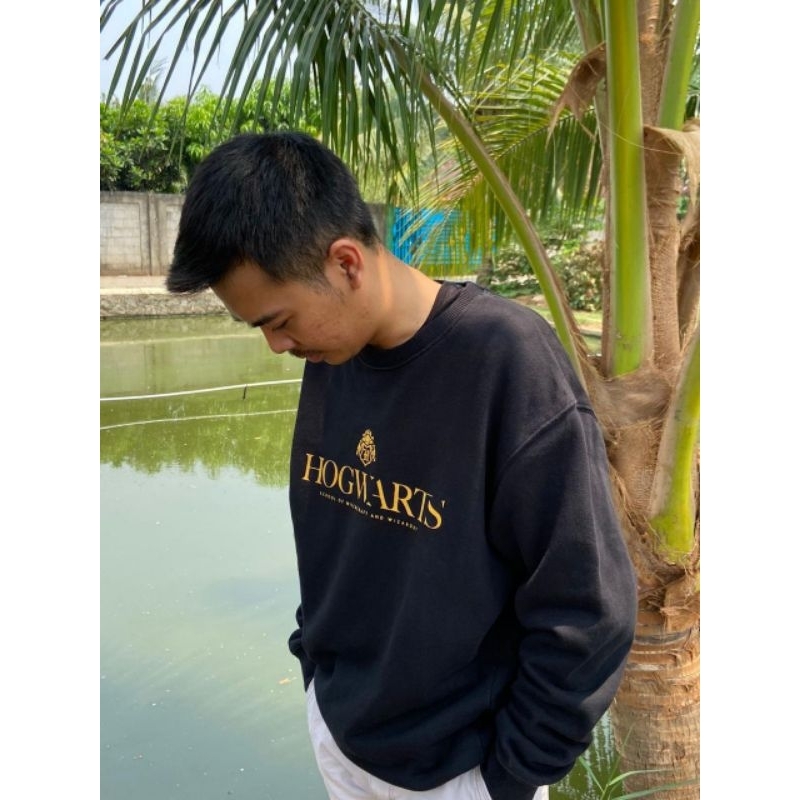 Crewneck Spao Hogwarts (Harry Potter)