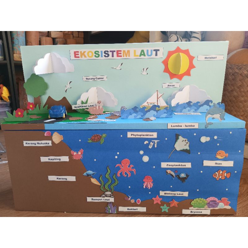ekosistem laut/alat peraga edukatif ekosistem/media belajar ekosistem