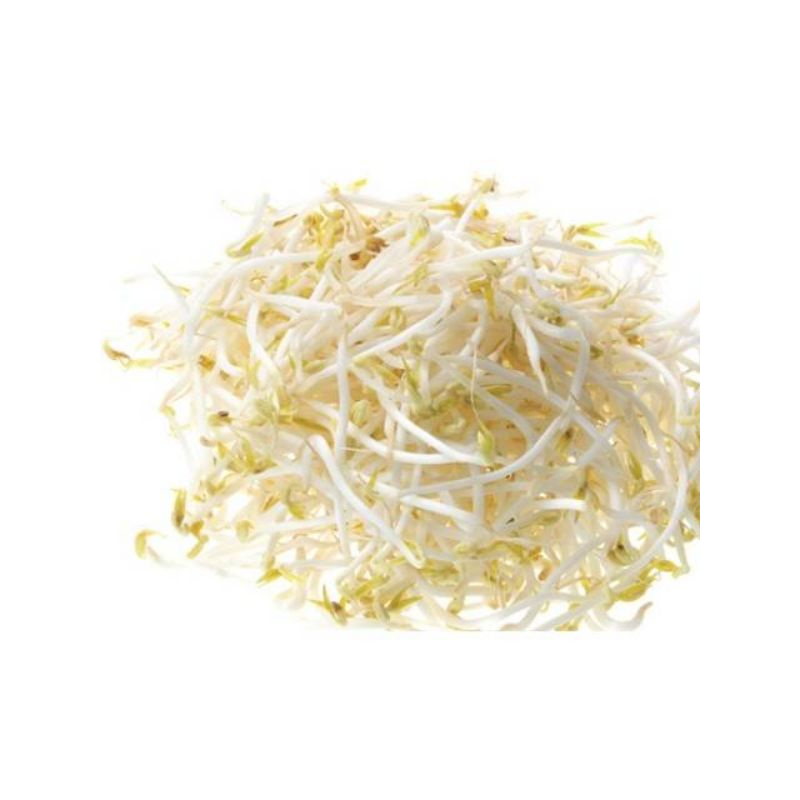 

Toge / Tauge 500 gr Fresh