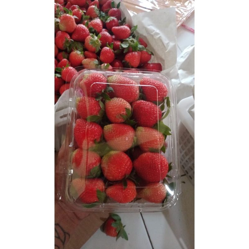 Buah Strawberry Fresh Ciwidey Grade A - 500gr
