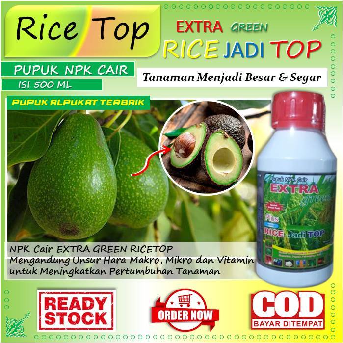 (Pupuk NPK) pupuk alpukat terbaik - pupuk anti hama untuk alpukat - pupuk anti jamur pada alpukat - 