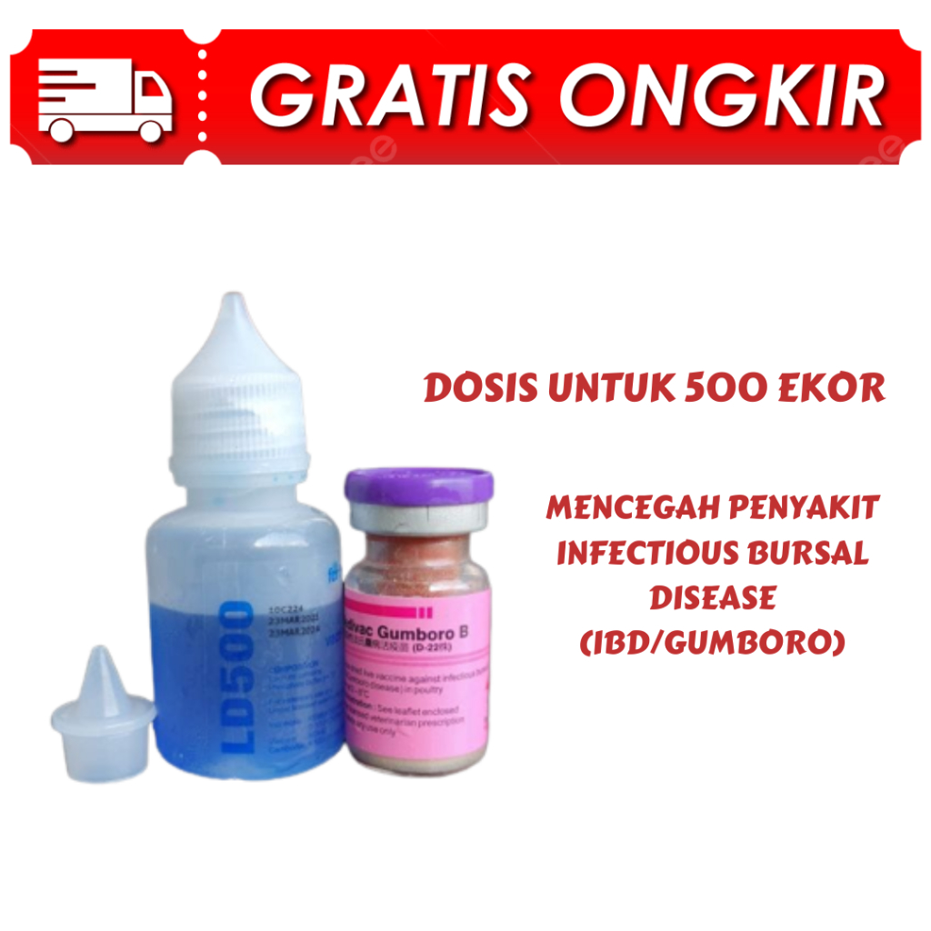 VAKSIN MEDIVAC GUMBORO B 500 ekor - penyakit gumboro ganas