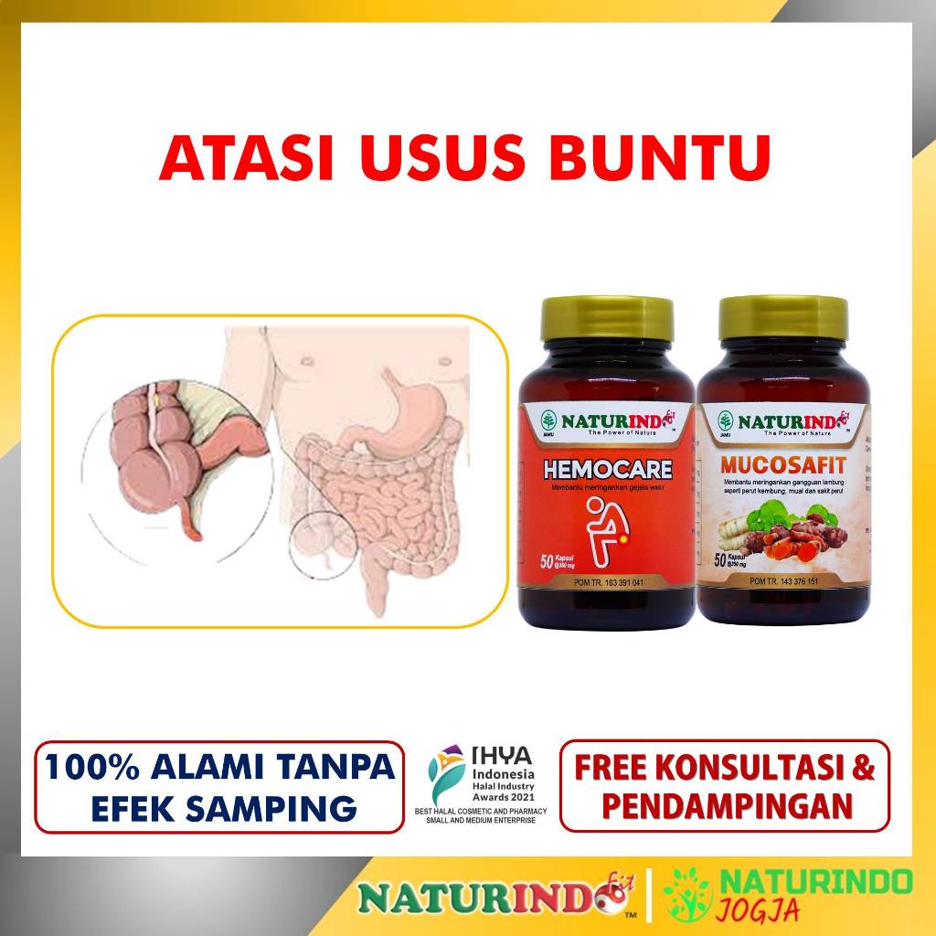 Usus Buntu Herbal Ampuh Obat Usus Buntu Tanpa Operasi Naturindo