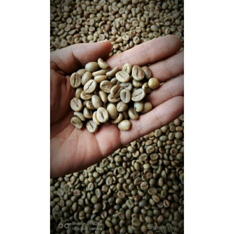 

½ kg coffee robusta Dampit GB kopi Biji mentah