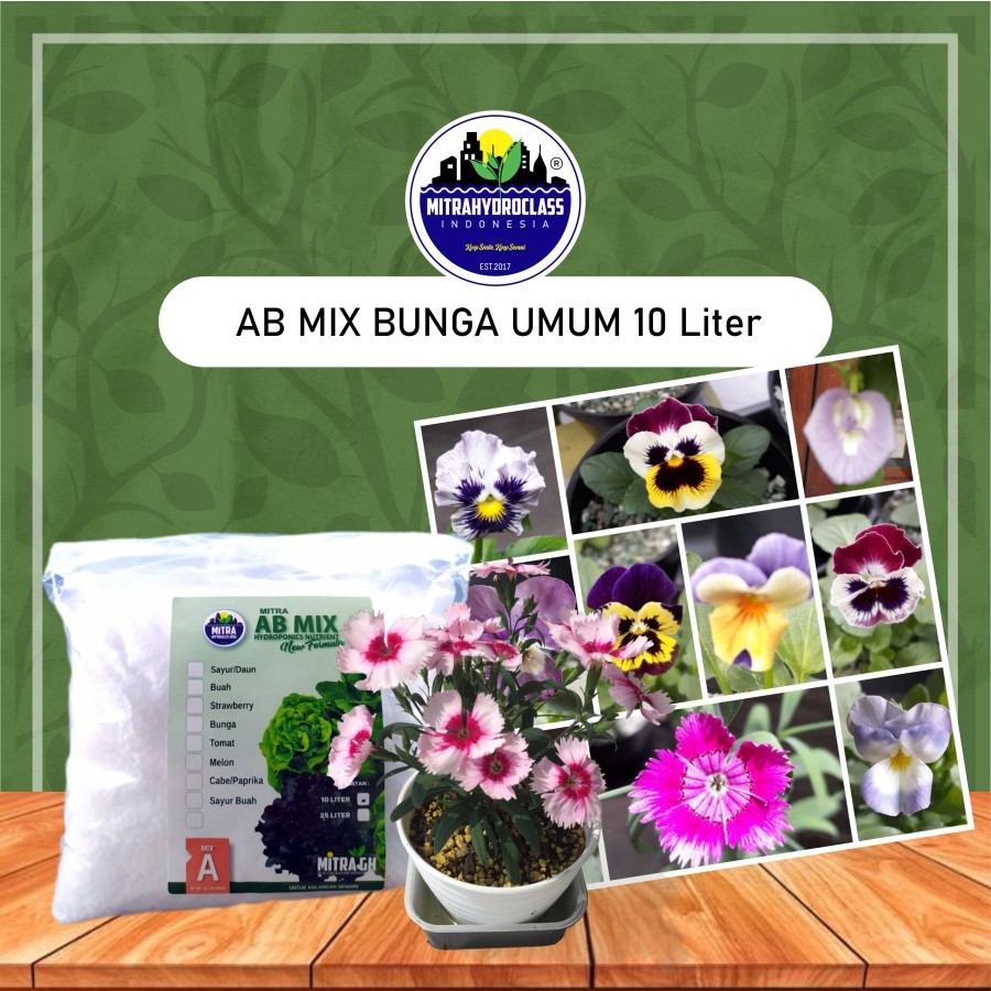 Nutrisi Hidroponik 10L Bunga - AB Mix Mitrahydroclass