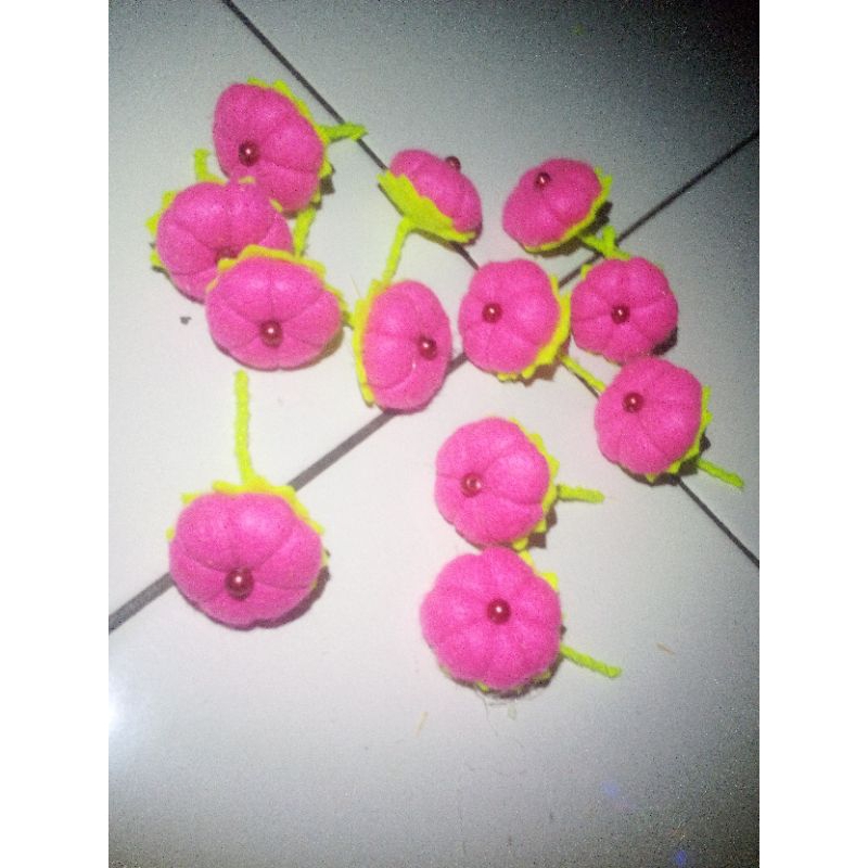aplikasi Flanel/ Buah flanel/ Kreasi Flanel/ Kain flanel