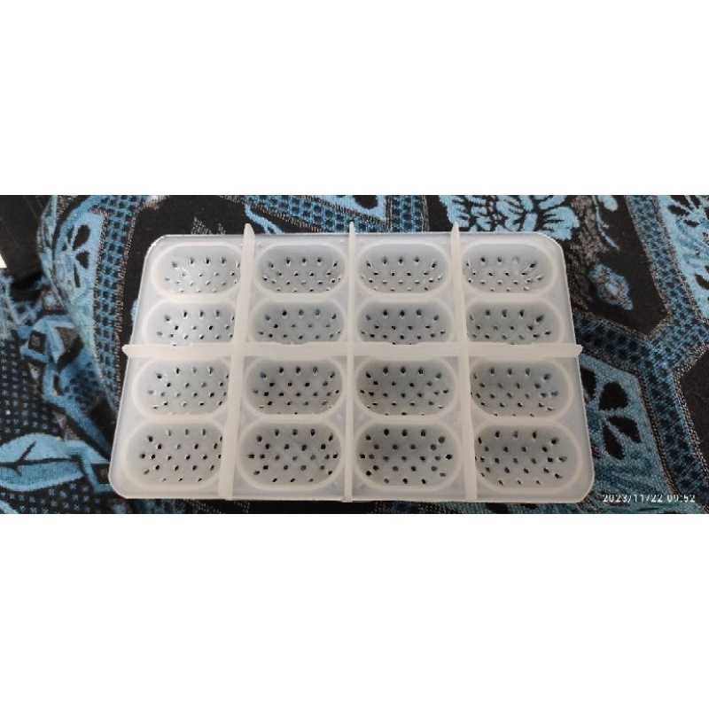 Incubator gecko, bearded dragon, kura brazil (hanya tray tanpa box)