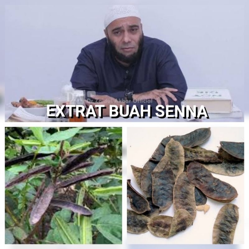 Jual Extrak Buah Senna Pembersih Usus Sehat Ala Rasulullah Resep dr Zaid Jual Extrak senna Jakarta J