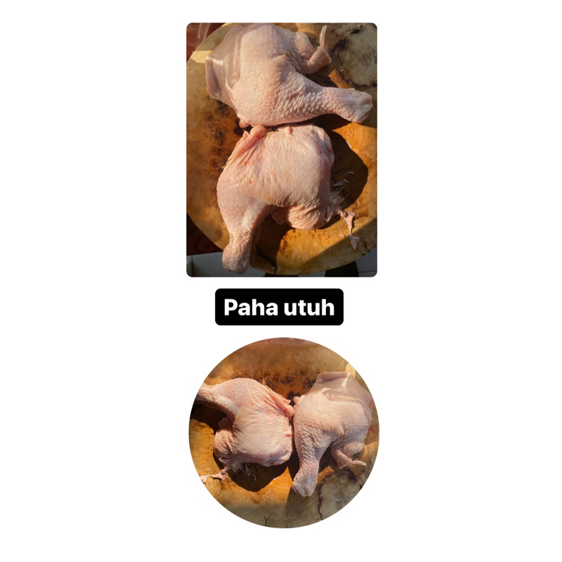

PAHA UTUH AYAM BOILER 1 kg(negri) FRESH FROZEN (paha pistol)