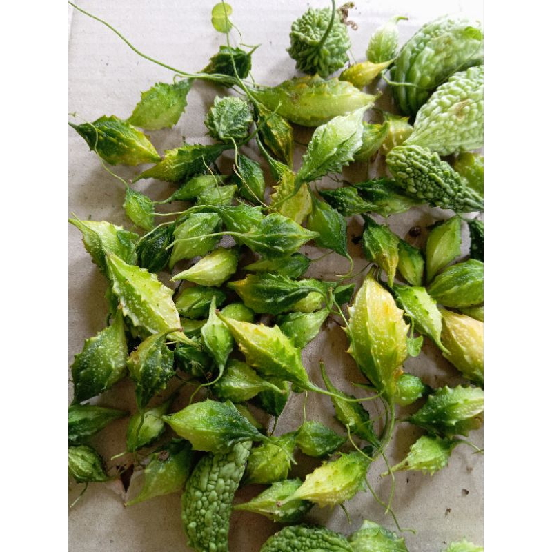 

Pare gengge pare hutan segar 50 gram