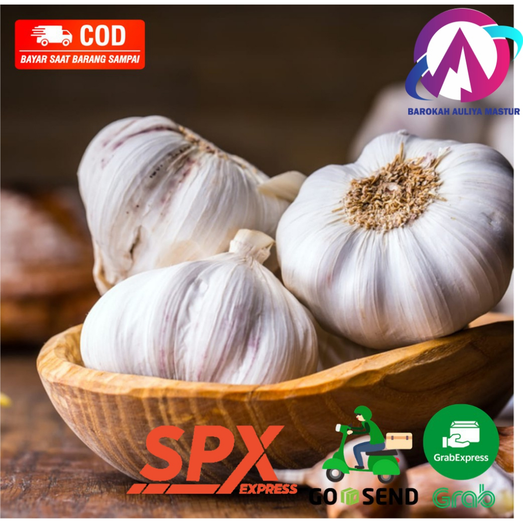 

Bawang Putih Kulit Fresh 250 Gram Bumbu Dapur BAM Pasar Online Murah Padang