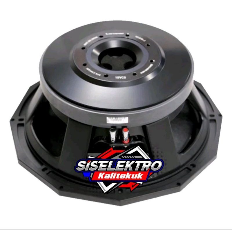 Speaker 15 Inch Zetapro 15VC5