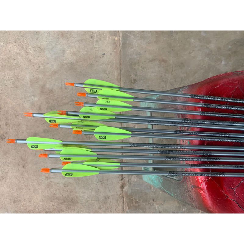 ARROW EASTON PLATINUM 1716