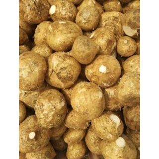 

Buah Bengkoang Super 500 gr