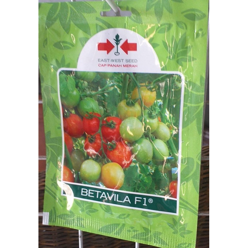 Benih Bibit Tomat BETAVILA F1