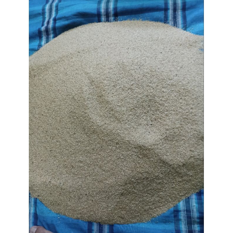 Telur Jangkrik Alam 1kg