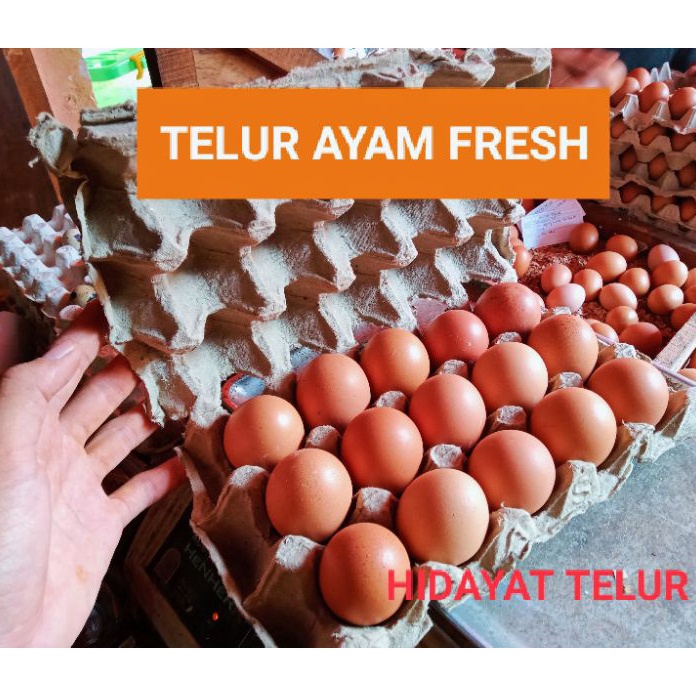 

FMQF0680 8.8 TELUR AYAM NEGERI PER 15 BUTIR