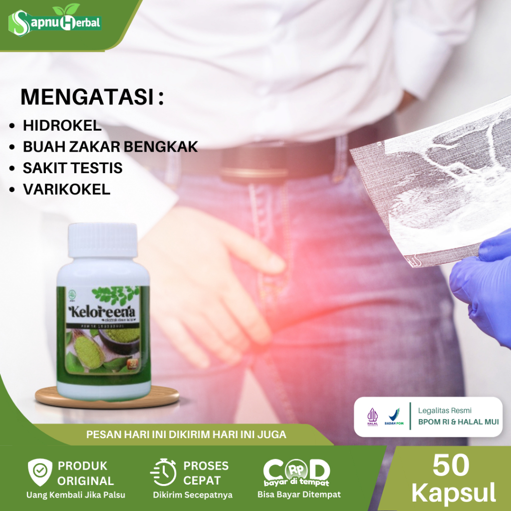 Obat Hidrokel, Buah Zakar Bengkak, Sakit Testis, Nyeri Buah Zakar, Testis Besar Sebelah, Testis Beng