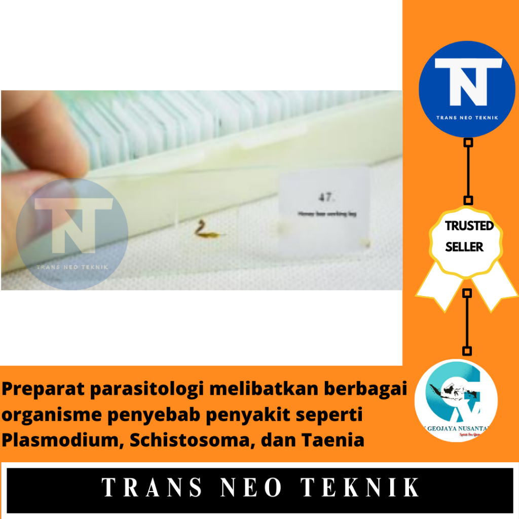 Preparat parasitologi melibatkan berbagai organisme penyebab penyakit seperti Plasmodium, Schistosom