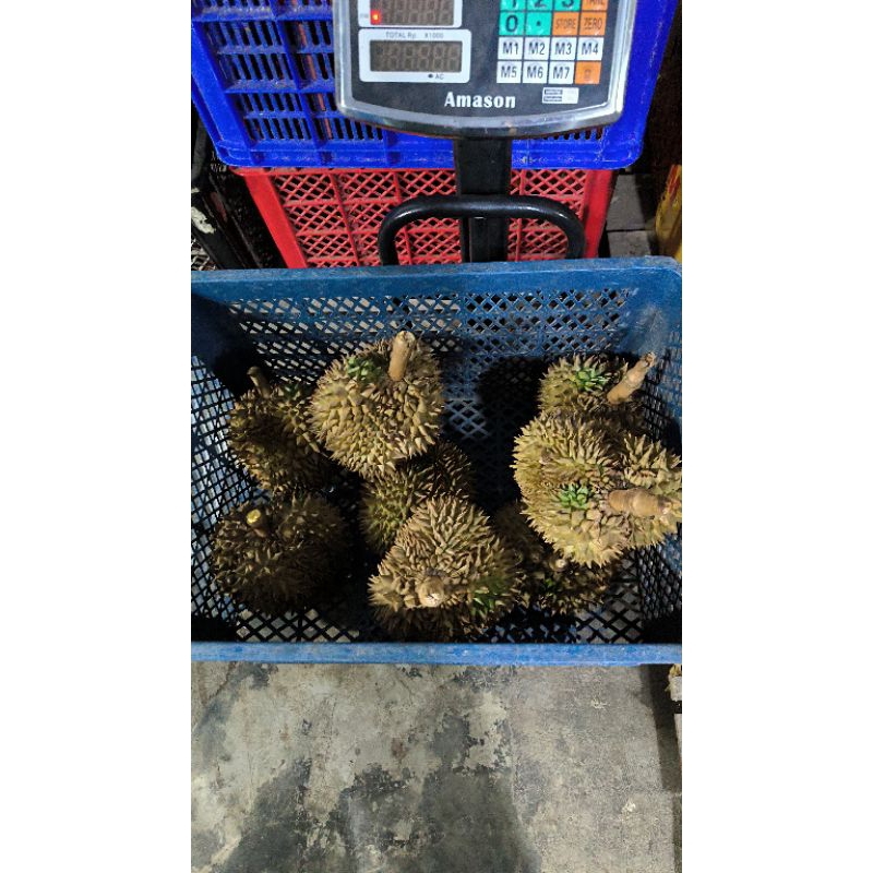 

Durian