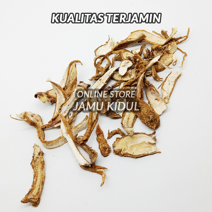 Akar Ginseng Jawa Asli Kering 50gr - Obat Kesuburan Pria