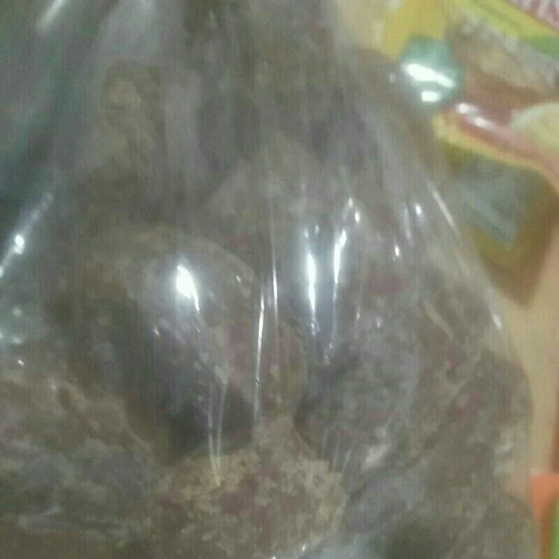 

GulaAren1kg