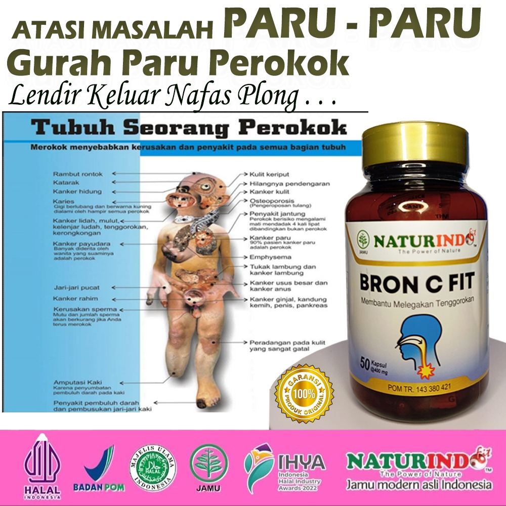 obat herbal gurah lendir dahak hidung paruparu perokok sesak nafas maxs untuk suara bron c  fit kaps