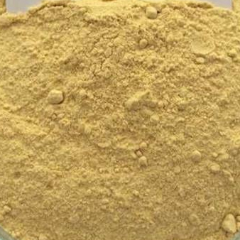 

HERBAL TEPUNG BIJI LABU BUBUK / PUMPKIN SEEDS POWDER TERBAIK 1 KG