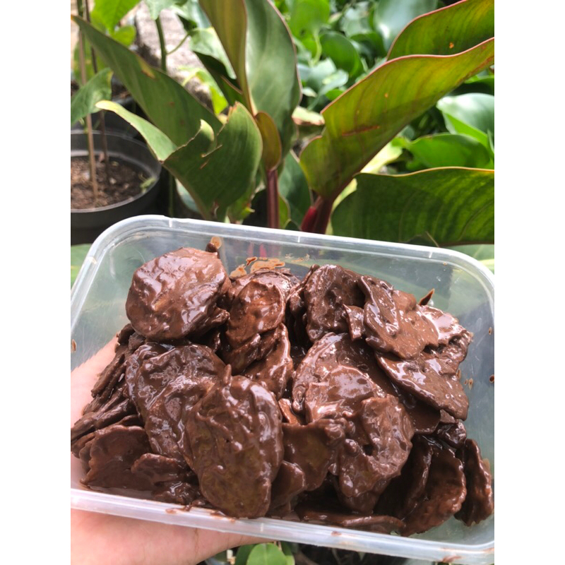 

Keripik Pisang Lumer