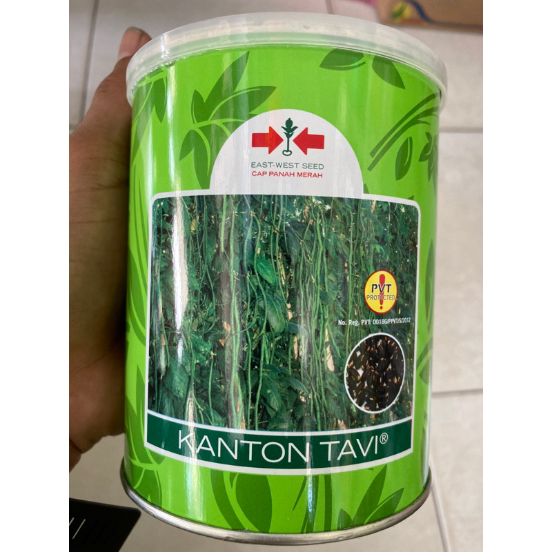 

benih kacang panjang KANTON TAVI isi 500gram