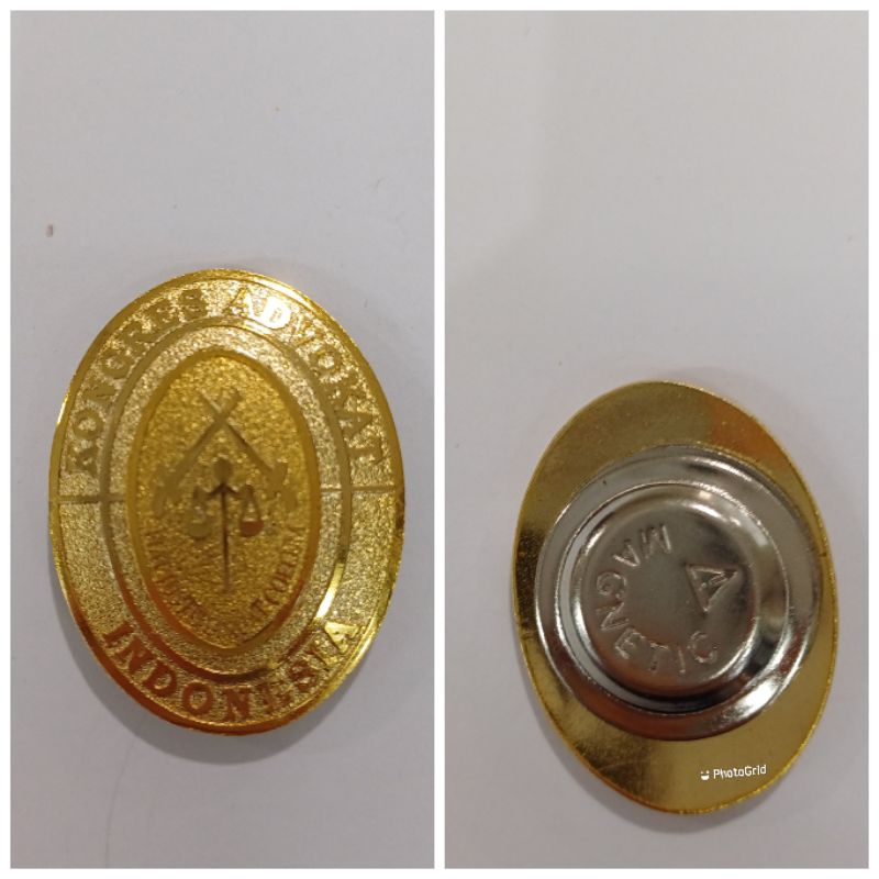 pin bros kongres advokat