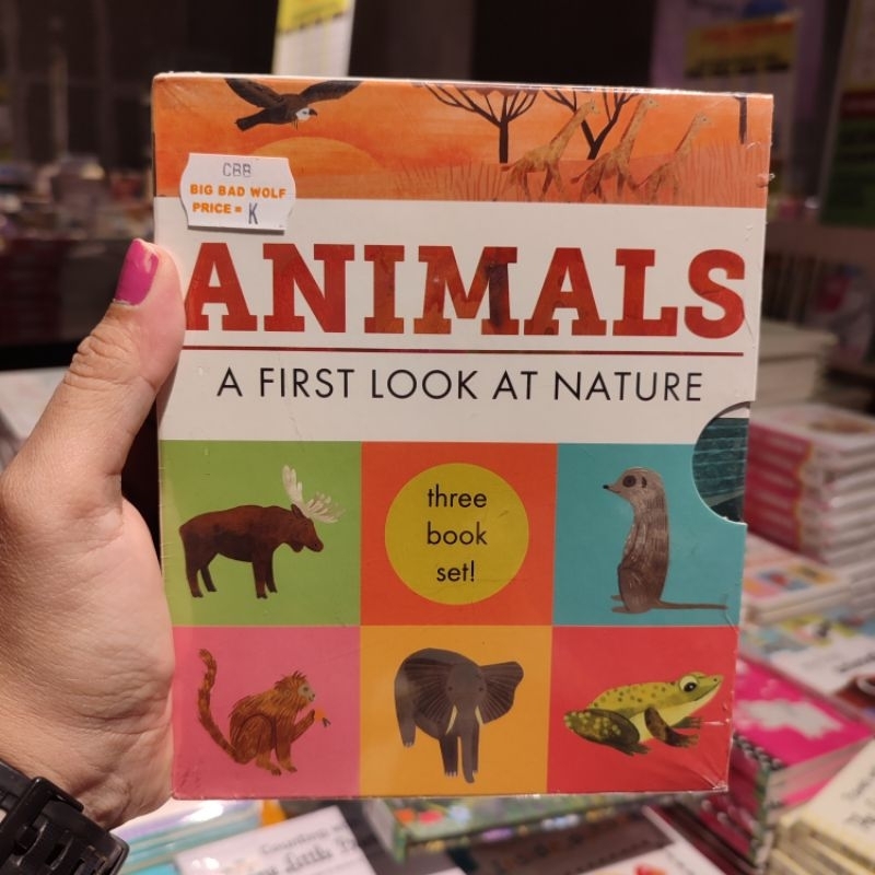 BIG BAD WOLF BOOKS ■ HIDDEN WORLD : ANIMALS (THREE BOOK SET) - BUKU ANAK BBW IMPORT