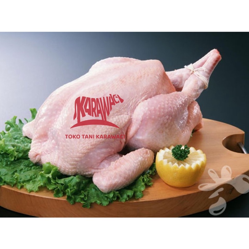 

☄️NEW✨ Ayam Broiler Karkas / Ekor 0.9-1