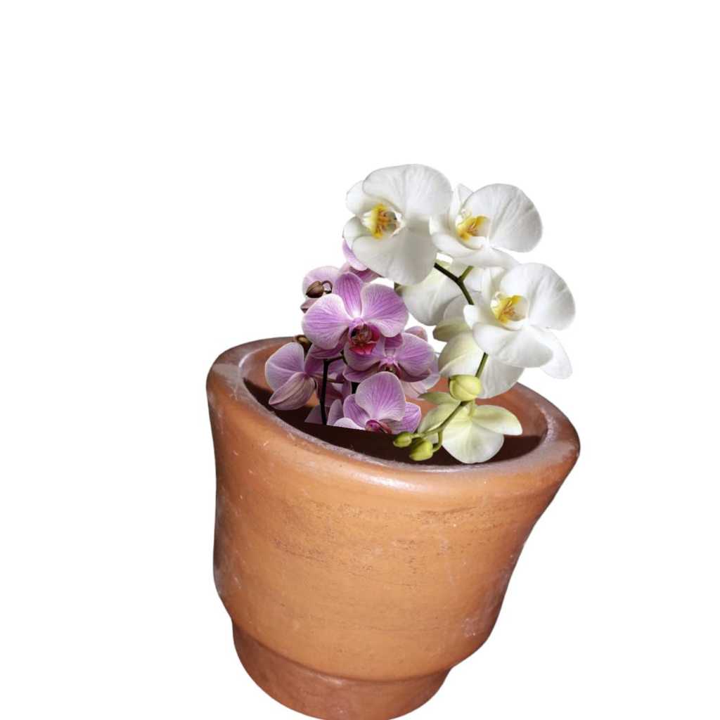 Promo Pot Anggrek Asli Tanah Liat cocok buat tanaman angrek termurah