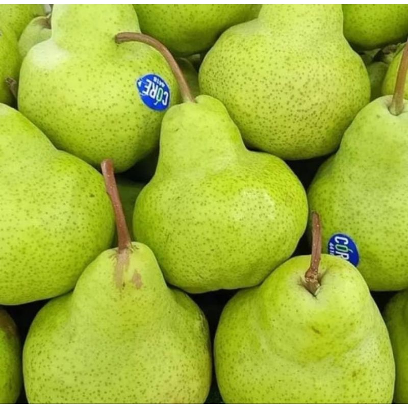 

BUAH PEAR HIJAU - 500 GR