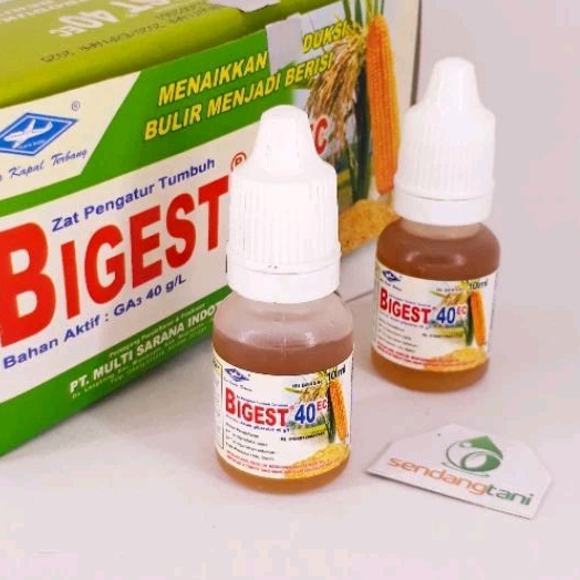 BIGEST 40 EC 10 ml 100 % Asli ZPT GA3 Zat Pengatur Tumbuh Giberelin Acid Cap Kapal Terbang