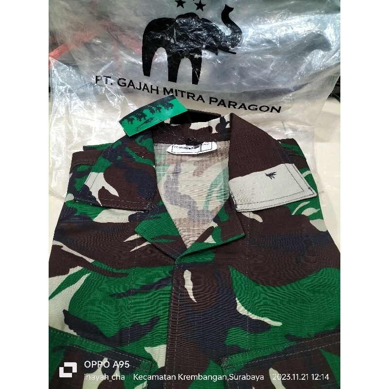 PDL NYAMUK PEMBAGIAN TNI AD