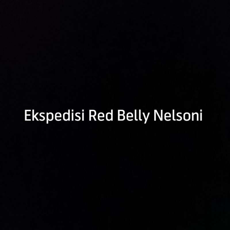 Ekspedisi Red Belly Nelsoni Rbn
