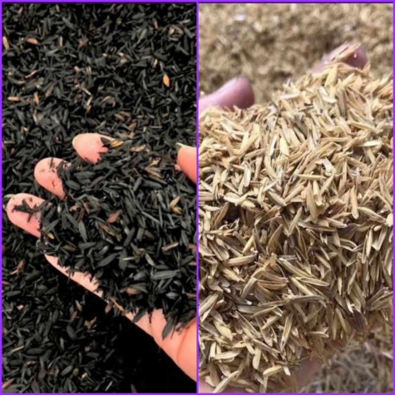 Sekam Mentah / Sekam Hitam Fermentasi 1kg