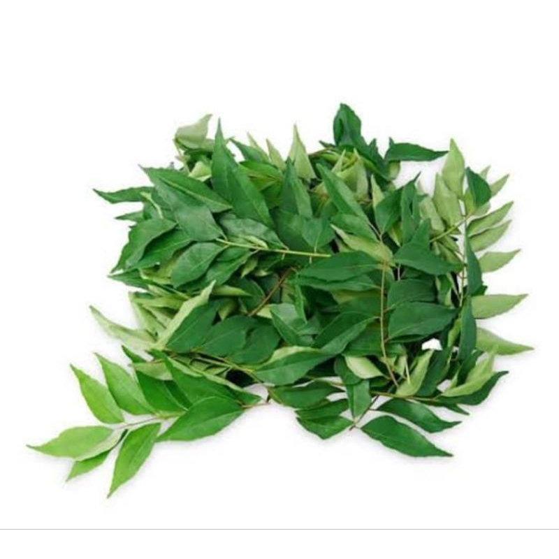 

Daun Kari / Salam Koja / Ikat