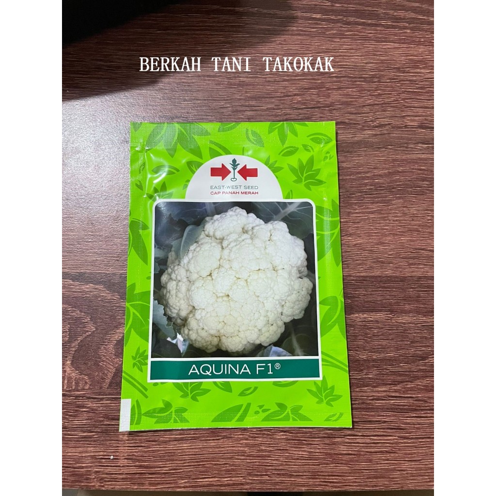 Benih burkol/Bunga Kol Aquina F1 10 gram cap panah merah bibit sayur kembang hijau putih hidroponik 