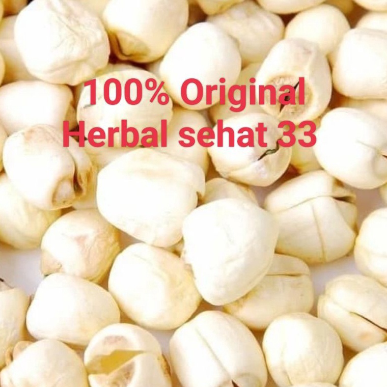 

☋ biji teratai lotus seed / Lian zi 100gr 46