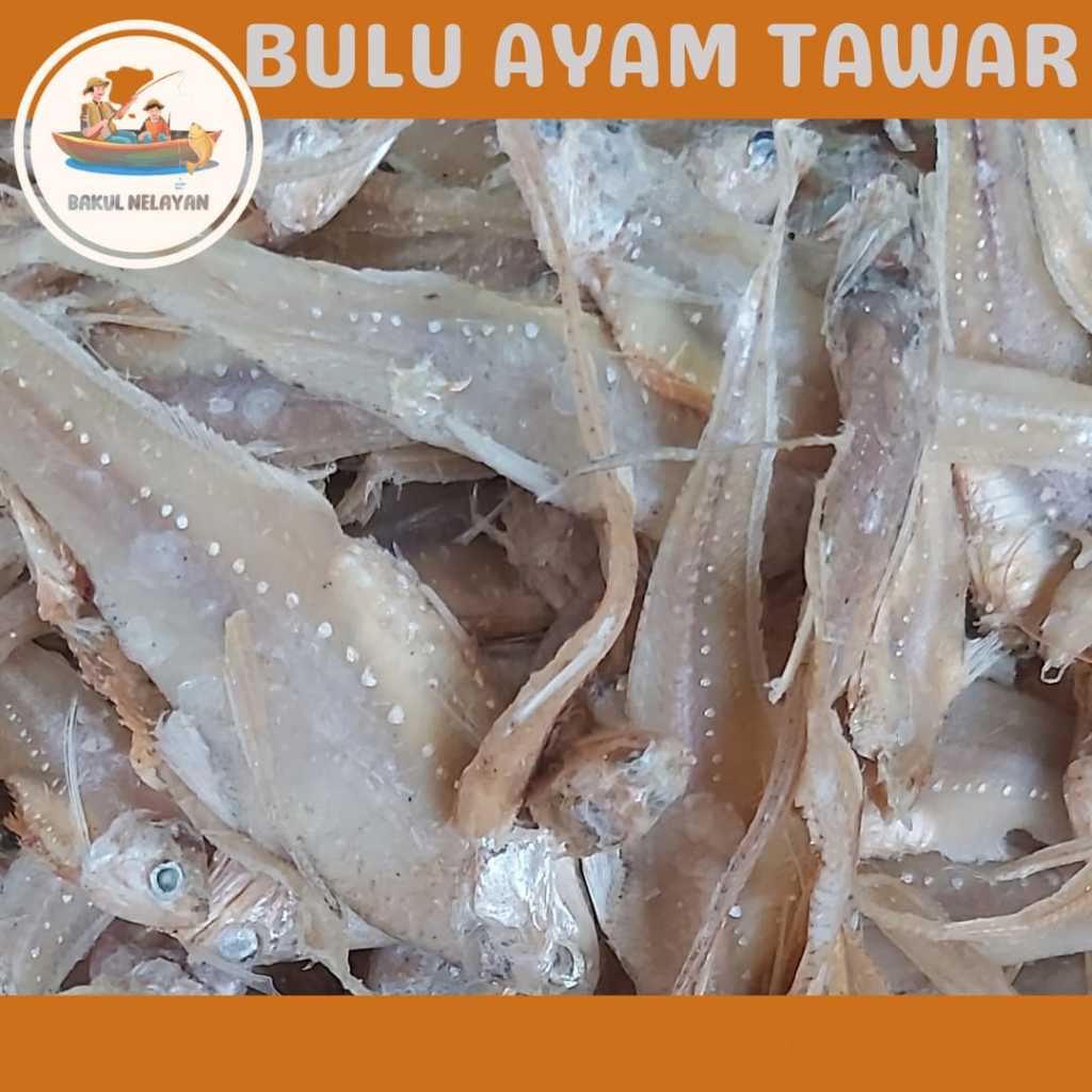 

IKAN ASIN BULUAYAM 1KG / BULU AYAM TAWAR / BULUAYAM ASIN / HARGA TERMURAH BISA COD