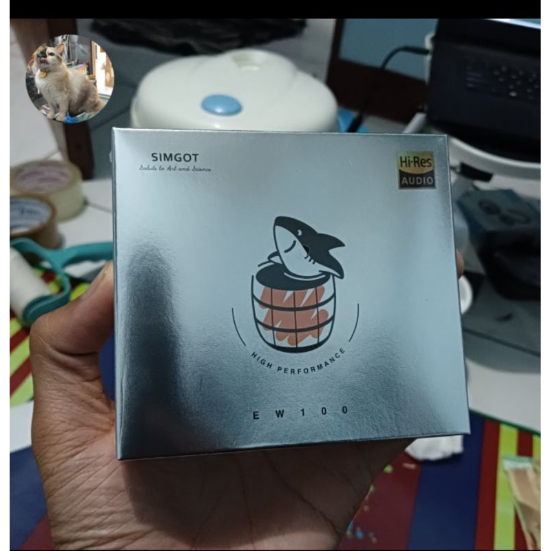 Simgot Ew100p Type c/DSP BNIB