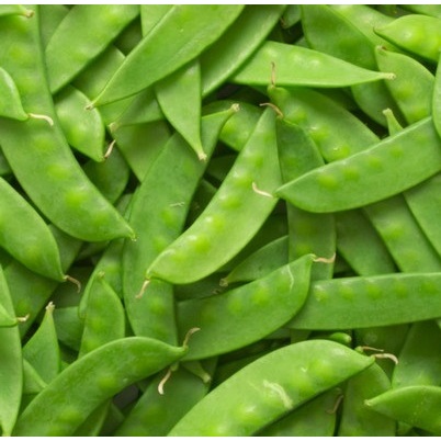 

Sayur Kapri / Kacang Kapri Manis / Arcis Import & Lokal